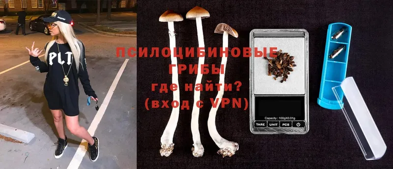 Псилоцибиновые грибы Magic Shrooms  дарк нет формула  Карабаш  hydra ССЫЛКА 